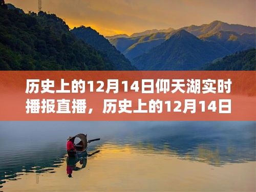 惨淡经营 第3页