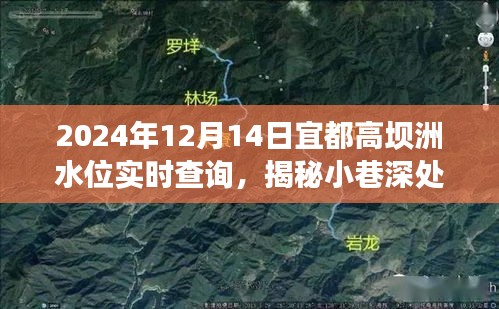 七上八下 第3页