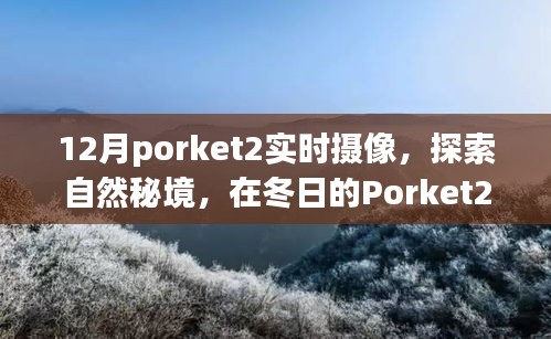 冬日的Porket2实时摄像之旅，探索自然秘境，寻觅内心宁静与乐趣
