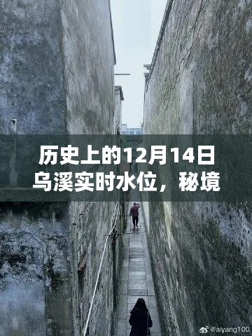 秘境探索，乌溪河畔水位变迁与特色小店的奇遇记