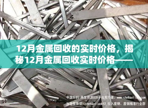 揭秘，智能金属回收系统实时价格及科技新生活展望——12月金属回收行情分析