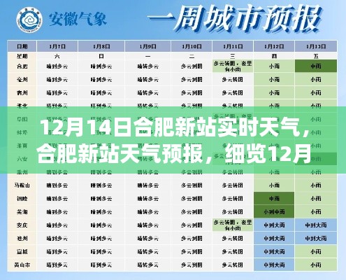 合肥新站天气预报，细览12月14日实时天气动态，掌握冬日气候新变化