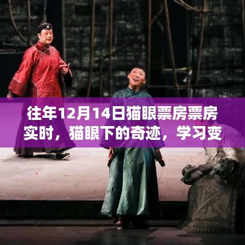 猫眼票房之夜，星光熠熠下的奇迹与变化之力
