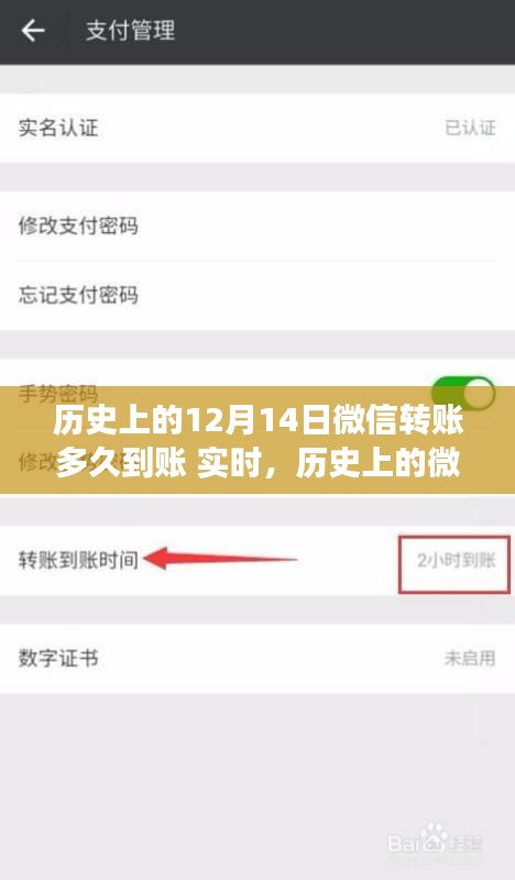 历史上的微信转账到账时间解析，以十二月十四日微信转账实时到账为中心探讨