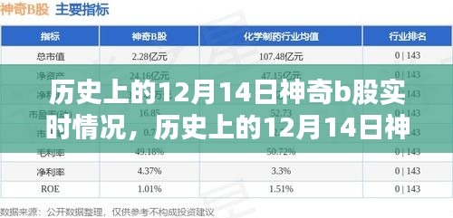 历史上的12月14日神奇B股实时情况深度解析