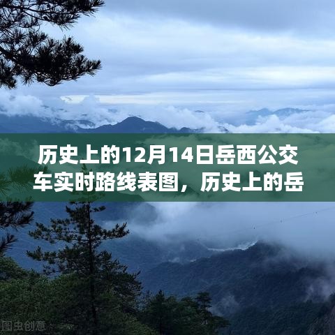 历史上的岳西公交车实时路线演变之旅，12月14日的实时路线表图回顾