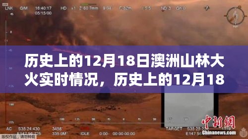 历史上的12月18日澳洲山林大火实时情况回顾与概览