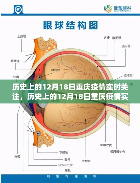 历史上的12月18日重庆疫情回顾与实时关注，启示与展望