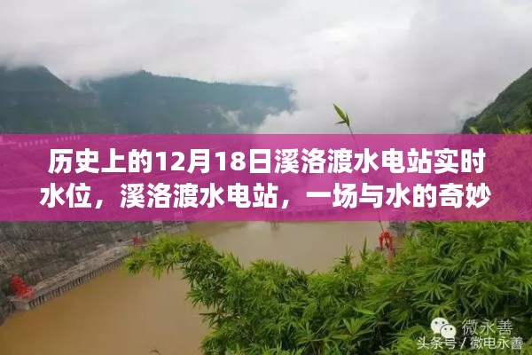 降贵纡尊 第3页
