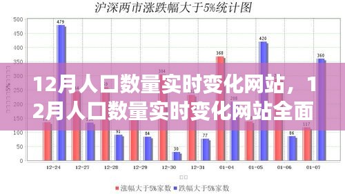 12月人口数量实时变化网站全面评测与介绍，实时掌握人口动态，洞悉数据变化