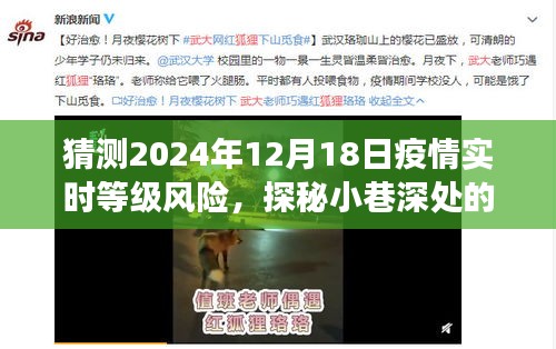 物稀为贵 第3页
