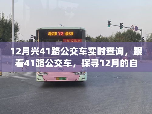 乌鸟私情 第3页