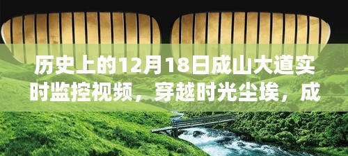 高鸟尽良弓藏 第3页