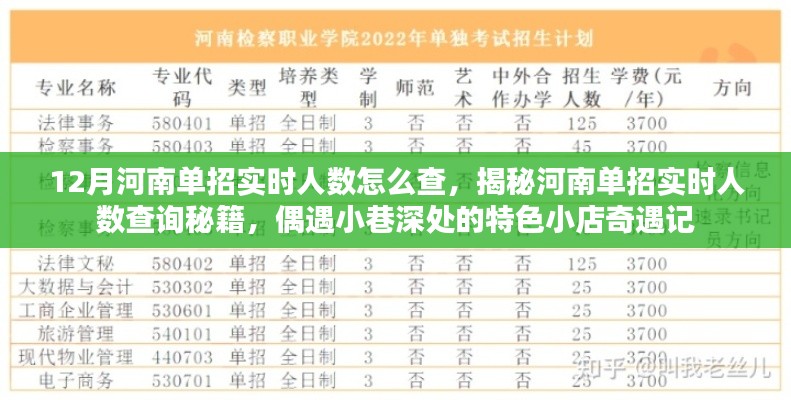 河南单招实时人数查询攻略与小巷特色小店奇遇记