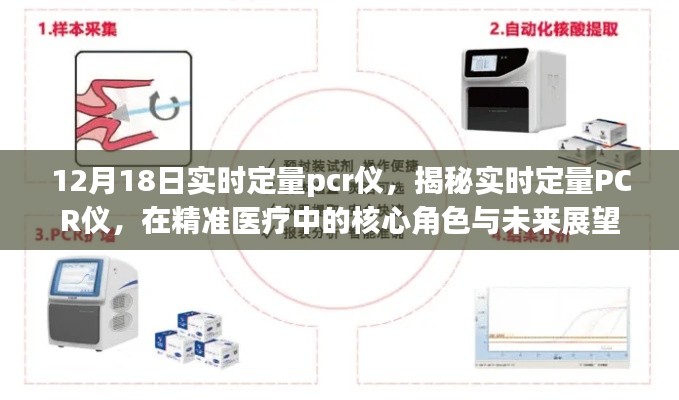 揭秘实时定量PCR仪在精准医疗中的核心角色与未来展望，12月18日实时定量PCR技术解析