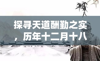 探寻天道酬勤之实与实时画像下载的影响，历年十二月十八日的深度洞察