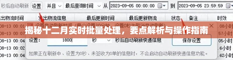 揭秘十二月实时批量处理操作指南及要点解析