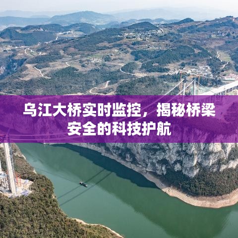 实时监控