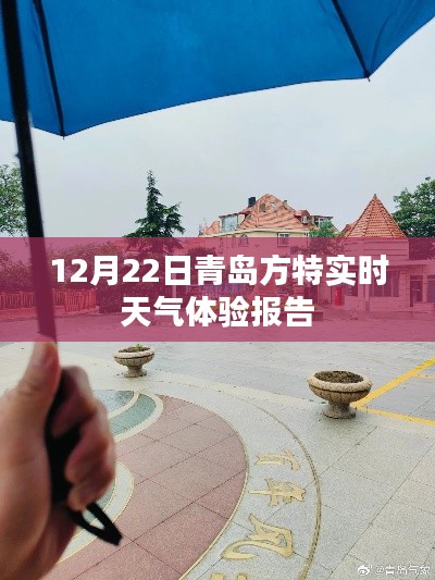 感受分享