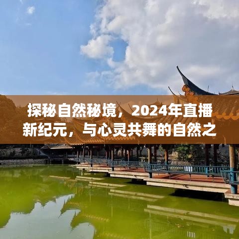 探秘自然秘境，直播新纪元的心灵之旅（2024年）