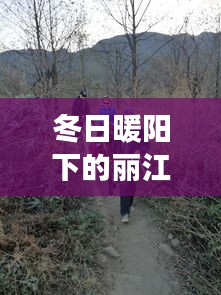 友情相伴