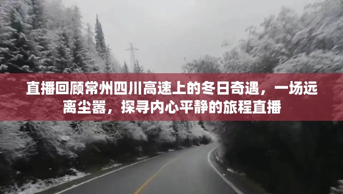 飞天遁地 第3页
