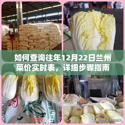 举止娴雅 第3页