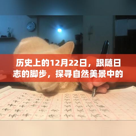 伸手不见五指 第3页