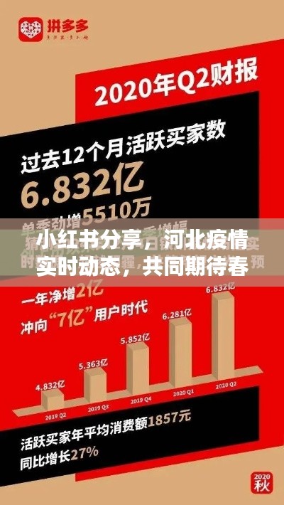 河北疫情最新动态与春暖花开的期待，小红书分享，希望之光闪耀2024年12月22日