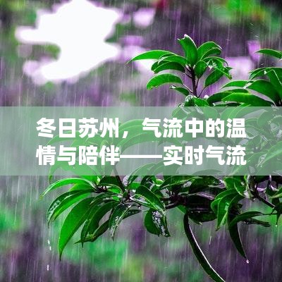 苏州冬日之旅，气流中的温情与陪伴，实时气流温度图下的探索之旅