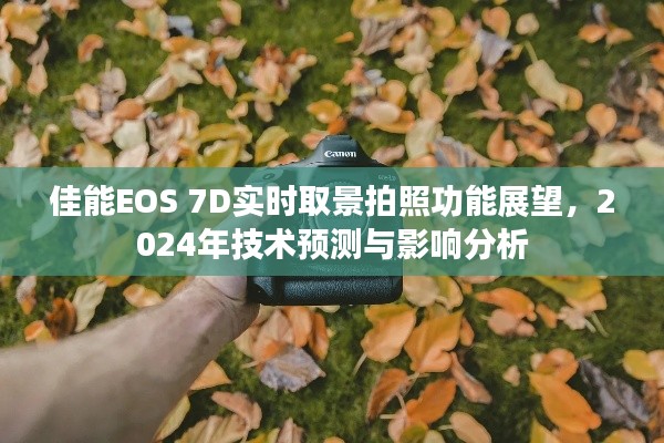 影响分析