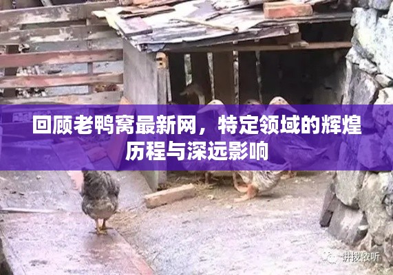 回顾老鸭窝最新网，特定领域的辉煌历程与深远影响