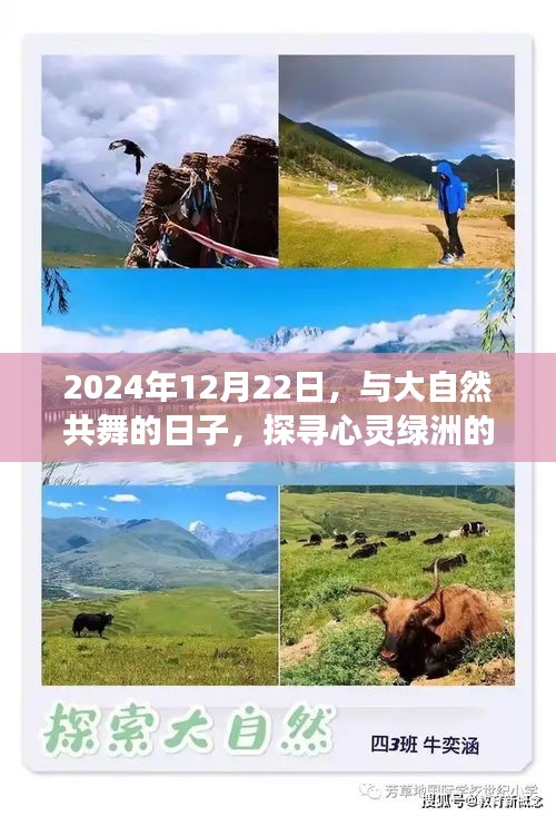 心灵探寻之旅，与大自然共舞的日子心灵绿洲奇妙之旅（2024年12月22日）