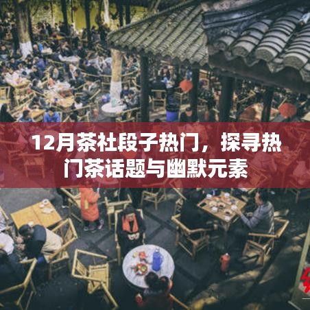12月茶社段子大热，茶话题与幽默元素的探寻