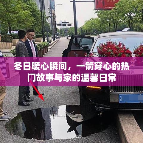 冬日暖心瞬间，热门故事与家的温馨日常一瞥