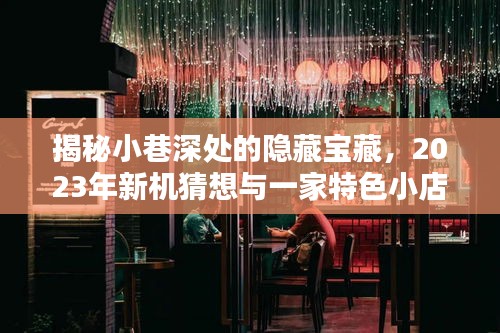 揭秘小巷深处的隐藏宝藏，特色小店奇遇与新机猜想探索