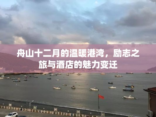 舟山十二月，温暖港湾的励志之旅与酒店魅力变迁