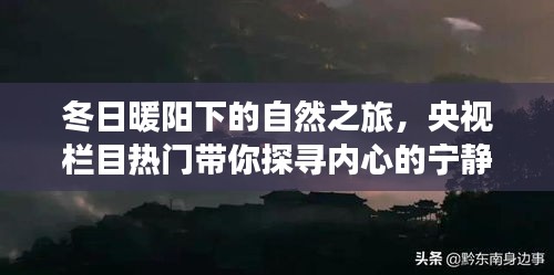 央视热门栏目带你探寻冬日暖阳下的自然之旅，内心宁静与喜悦的探寻之旅