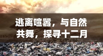 十二月二十二日，逃离喧嚣的绿色之旅，与自然共舞