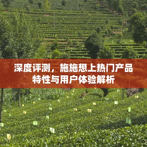 深度评测，热门产品特性与用户体验解析——施施视角