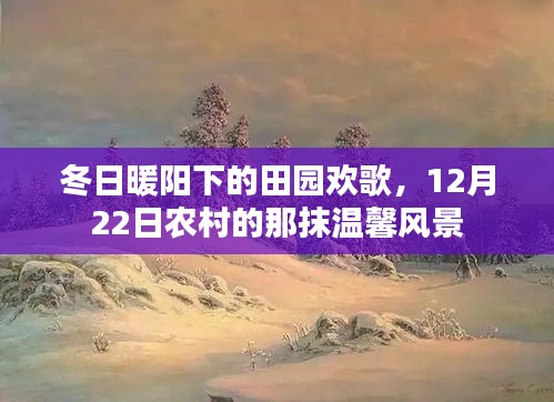冬日暖阳下的田园温馨风景，农村欢歌与温馨风景的交融