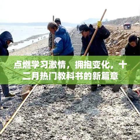 十二月热门教科书引领新篇章，点燃学习激情，拥抱变化时代