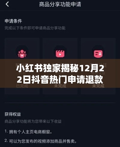 小红书独家指南，抖音热门退款申请全攻略，轻松解决退款问题！