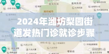 2024年潍坊梨园街道发热门诊就诊攻略，详细步骤指南