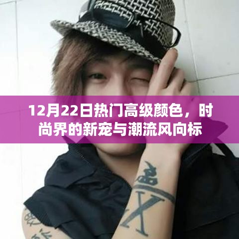 时尚界新宠，高级颜色引领潮流风向标，12月22日热门趋势解析