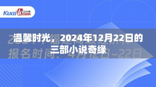 温馨时光下的奇缘，三部小说的奇妙相遇——2024年12月22日