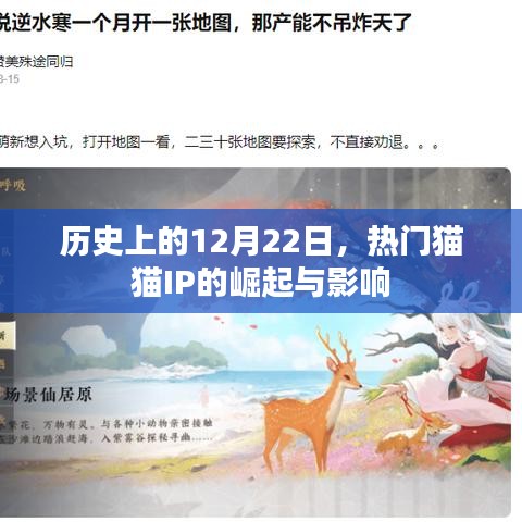 热门猫猫IP的崛起与影响，历史视角下的12月22日