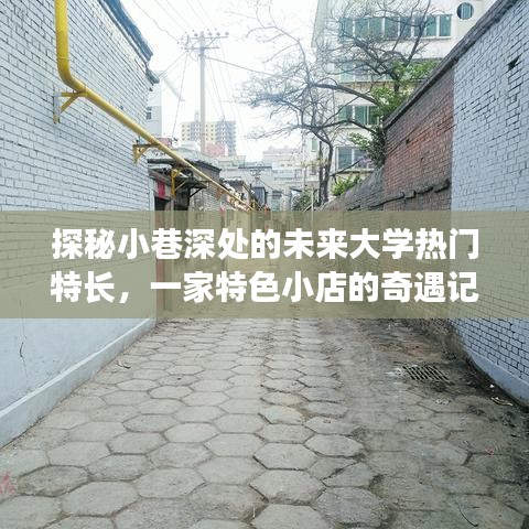 德才兼备 第3页