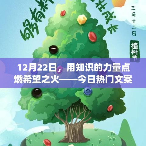 12月22日，知识力量点燃希望之火，励志故事揭秘今日热门文案背后的力量