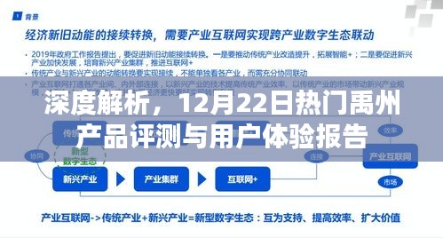 深度解析，禹州产品评测报告与用户体验反馈（12月22日版）